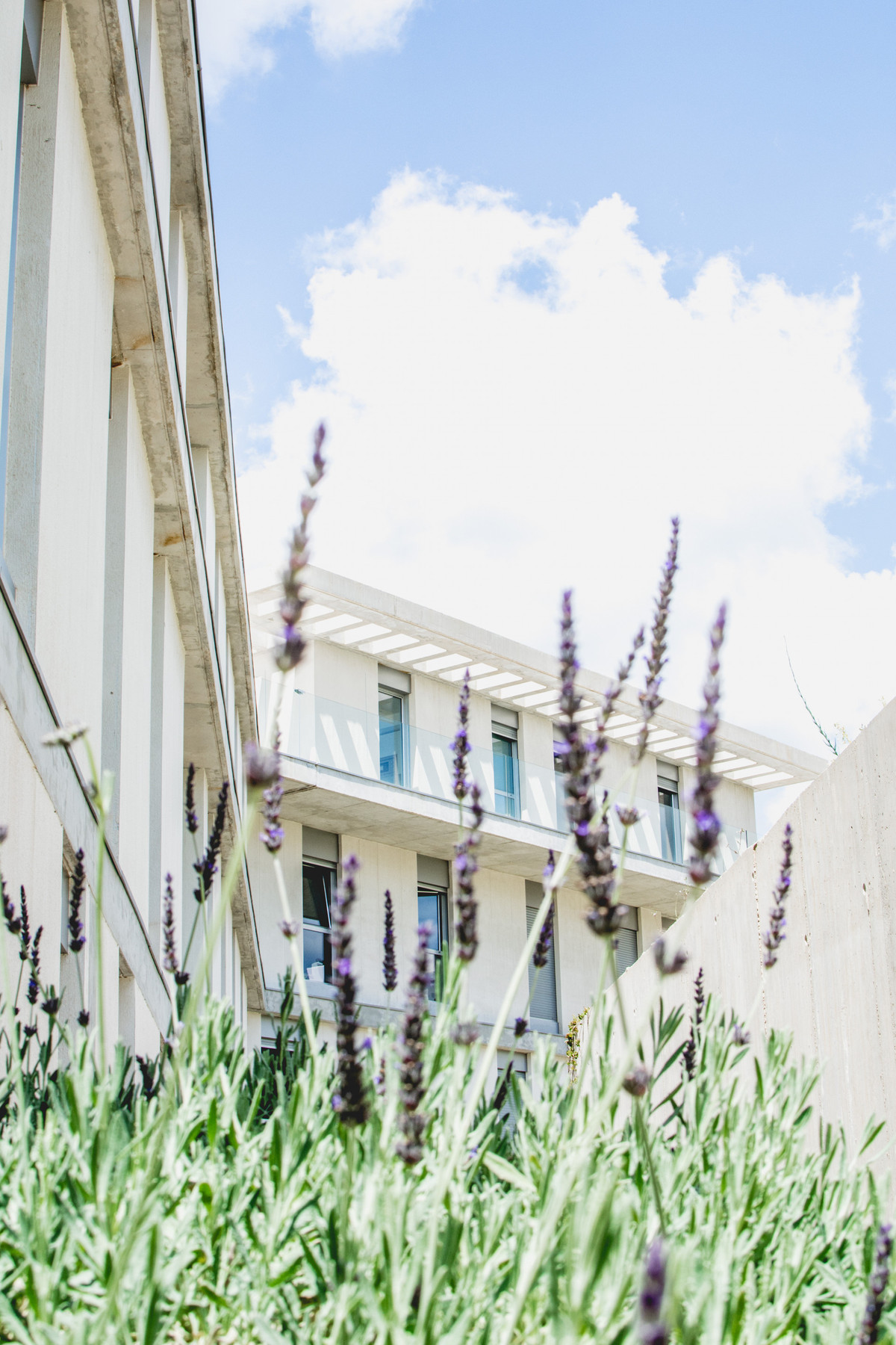 Property main view 26