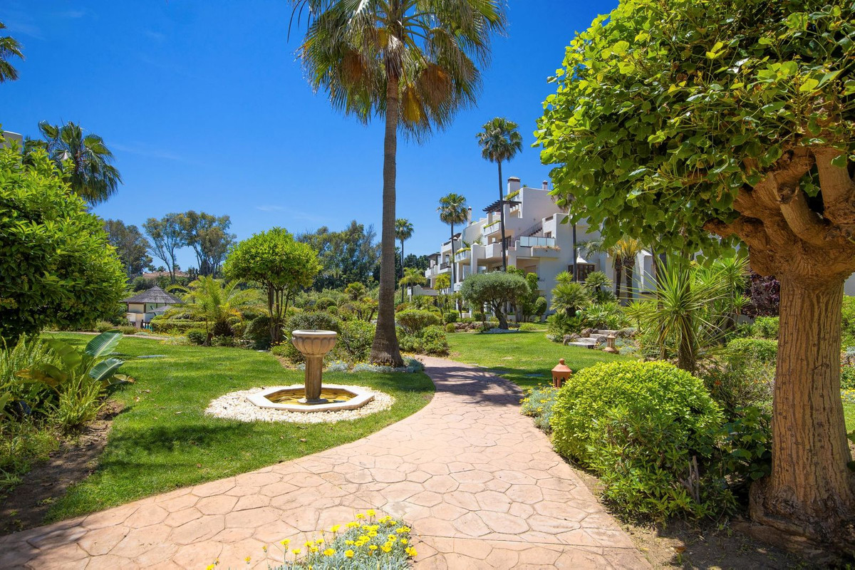 Property main view 32