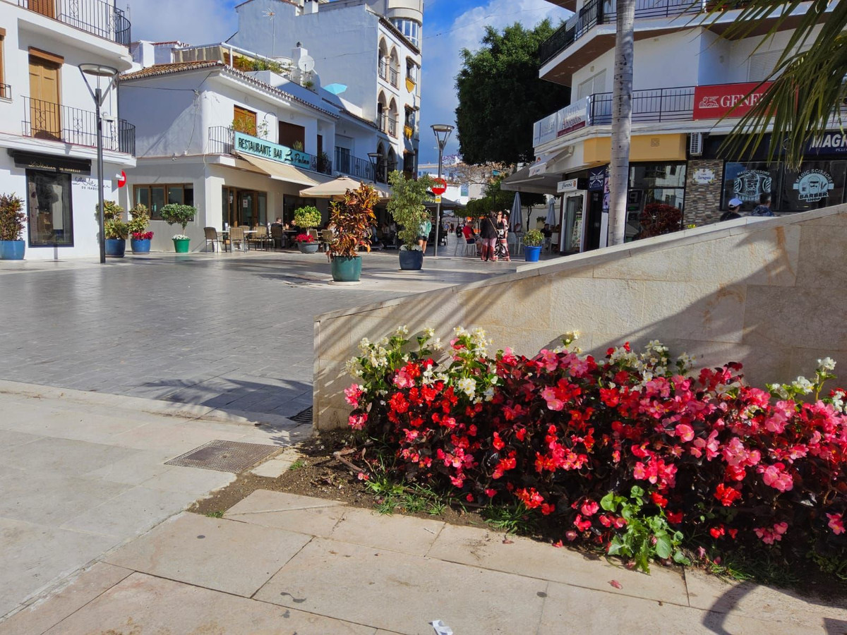 Property main view 32