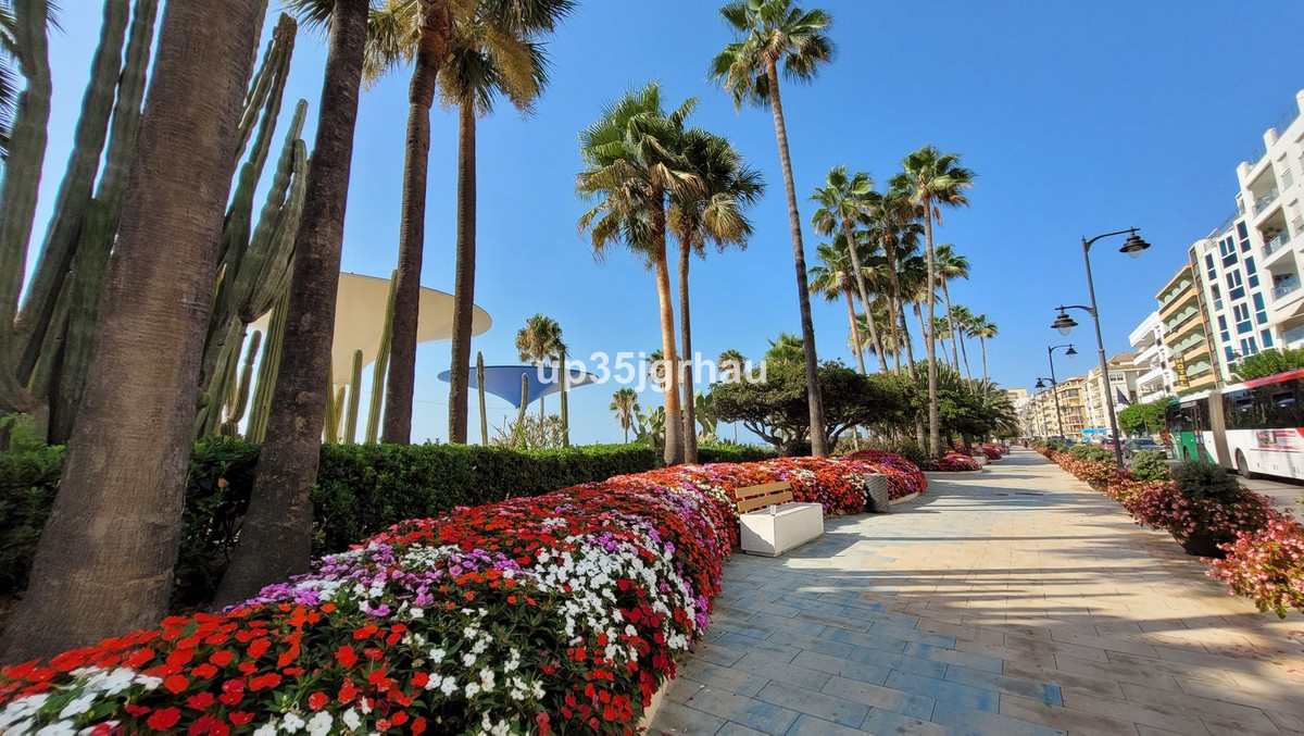 Property main view 11