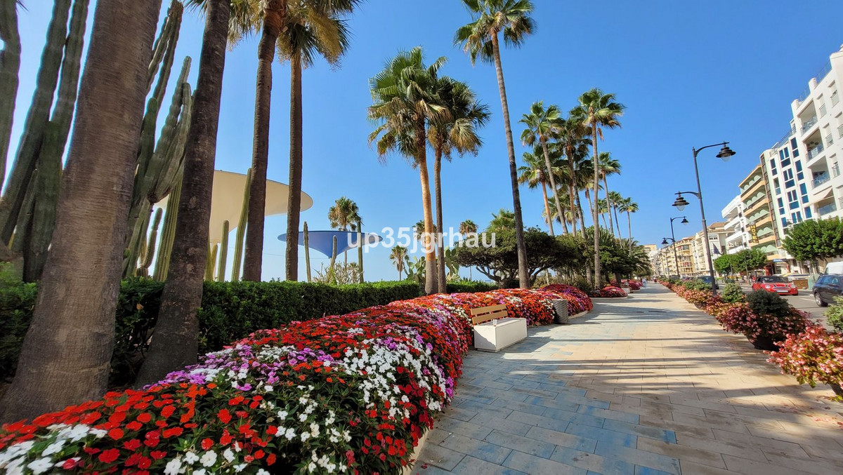 Property main view 7