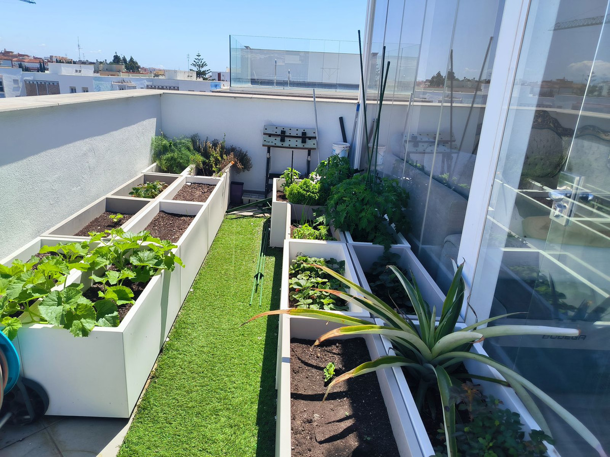 Property main view 56