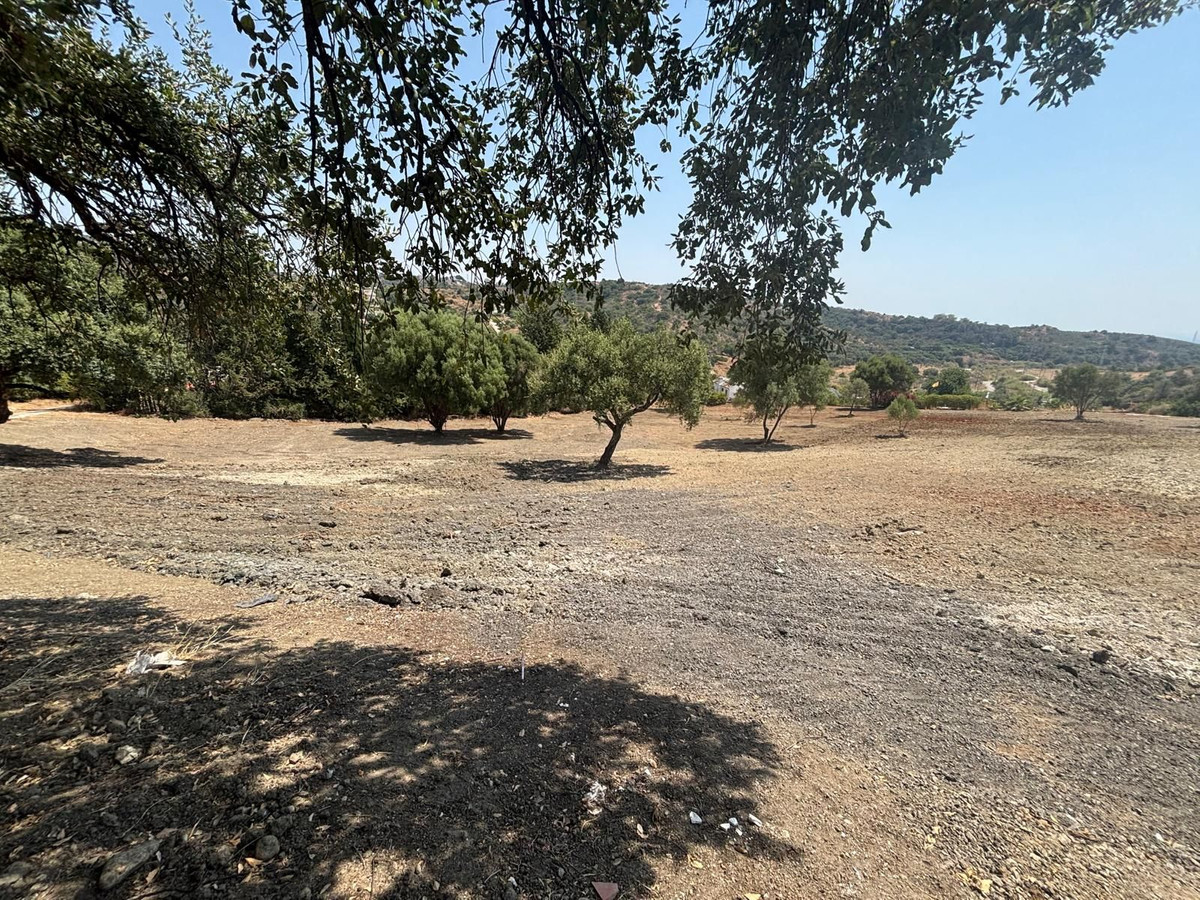 Property main view 6