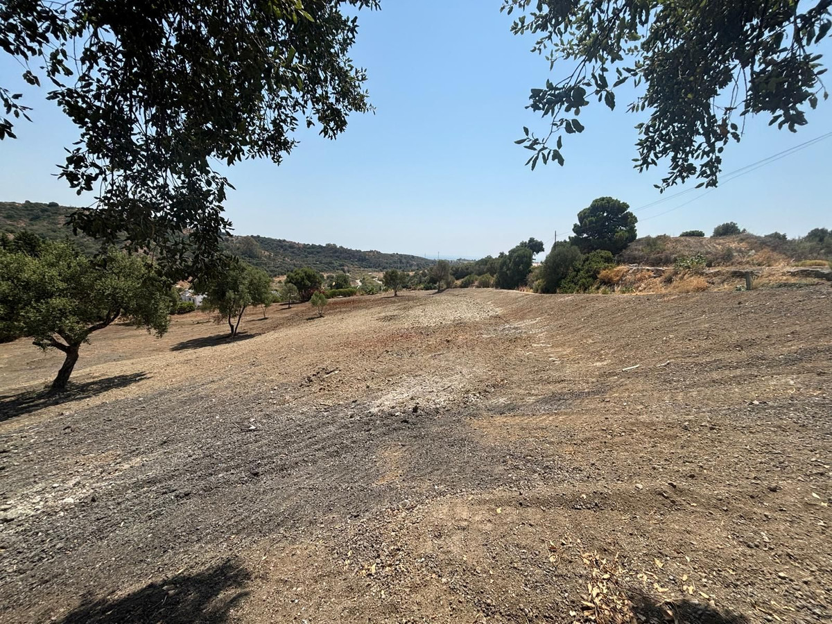 Property main view 9