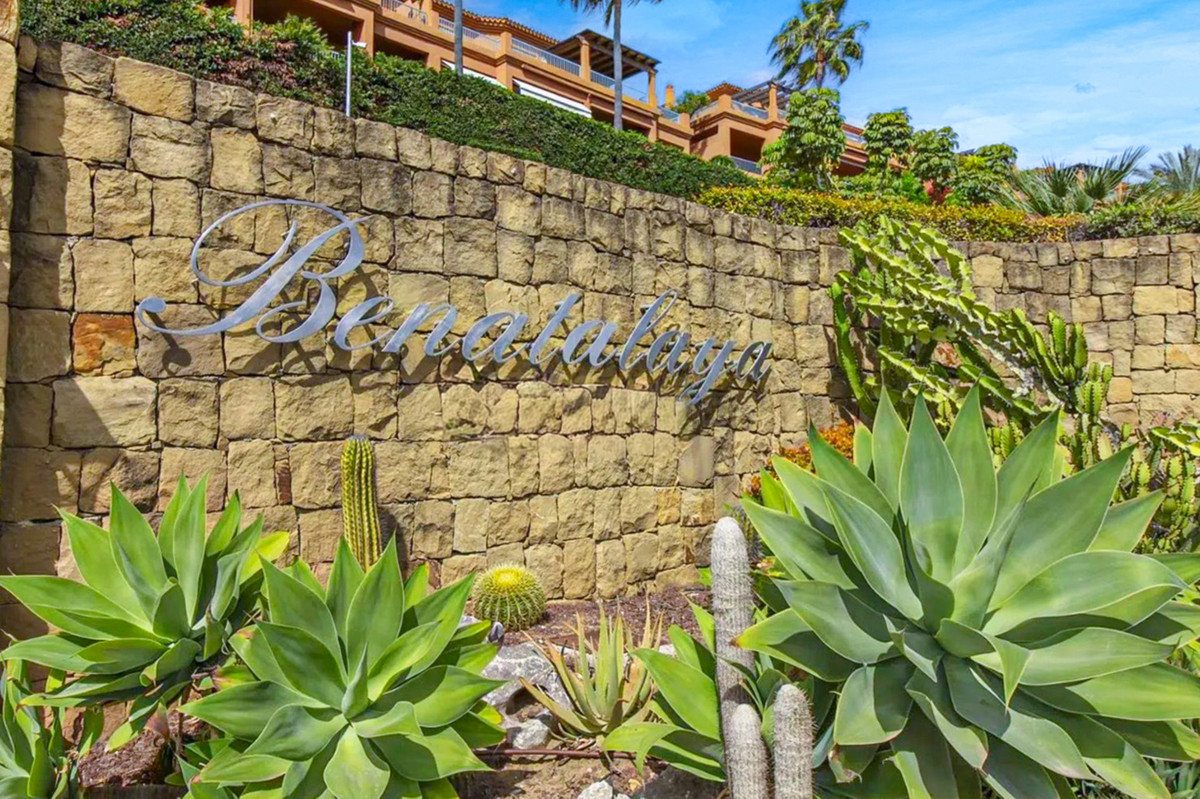 Property main view 13