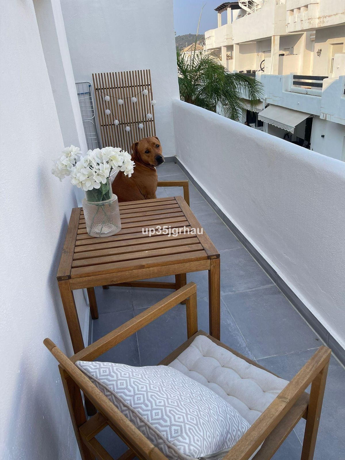 Property main view 5