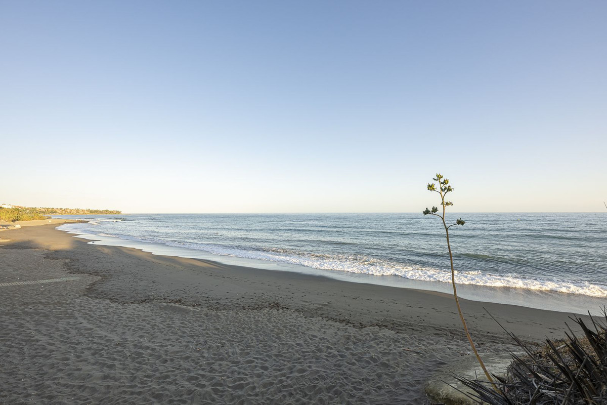 Property main view 24