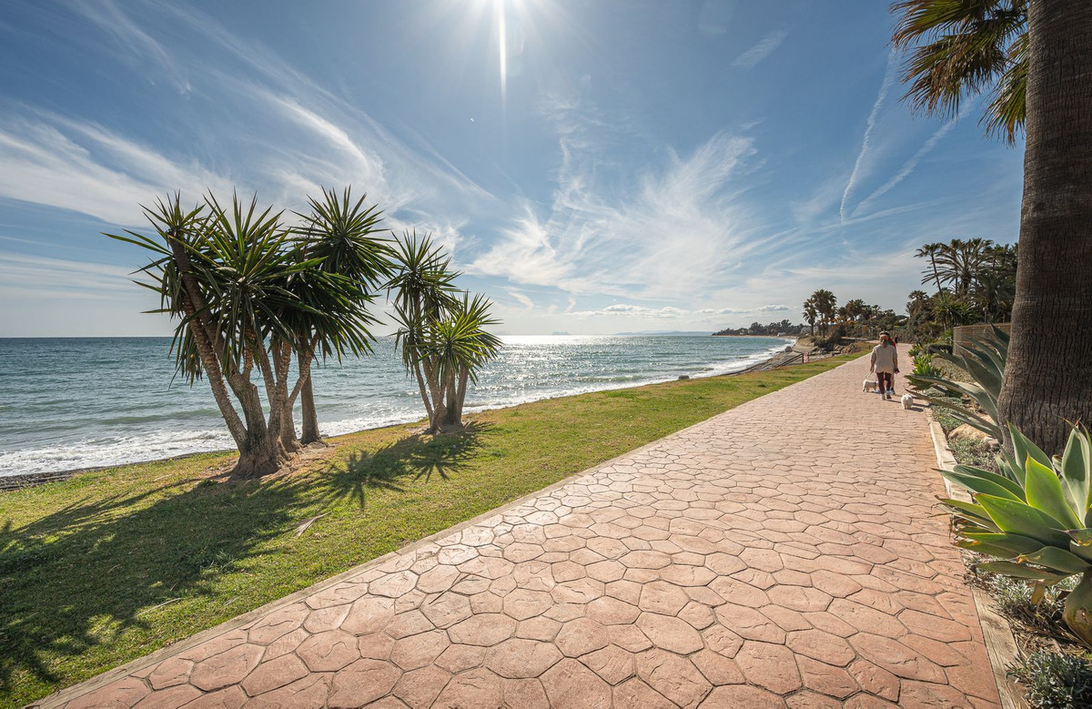 Property main view 26