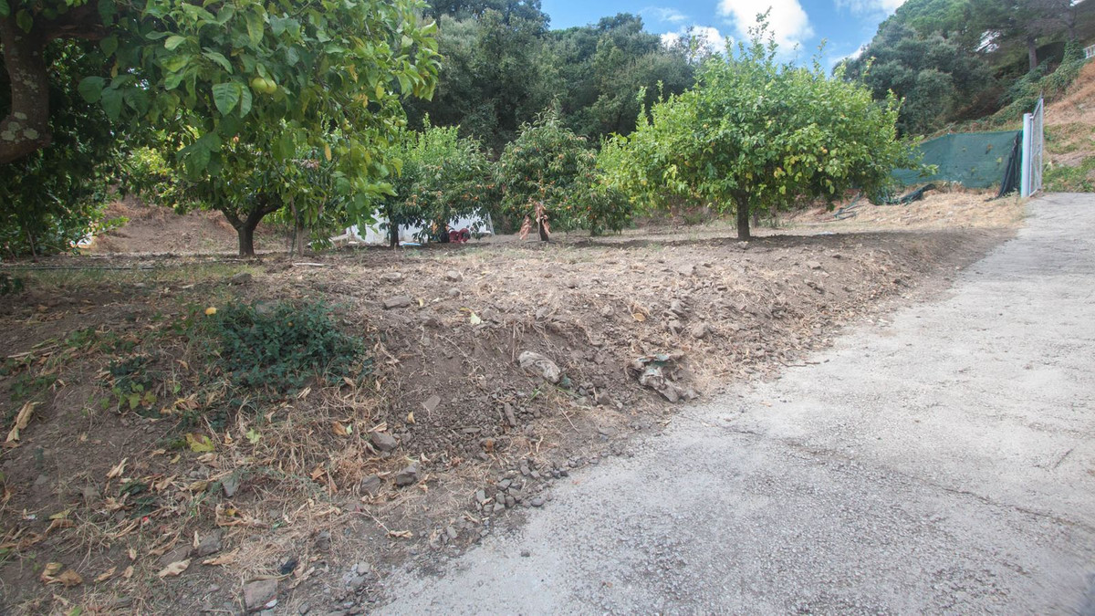 Property main view 24