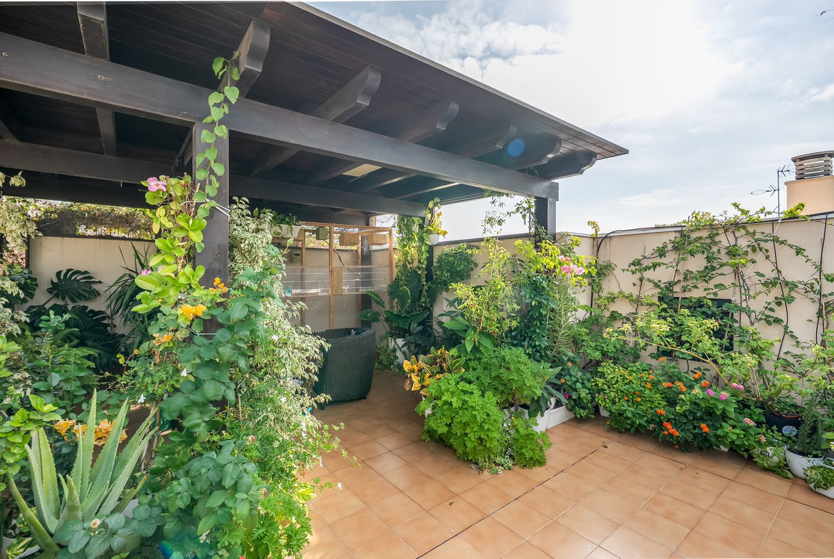 Property main view 19