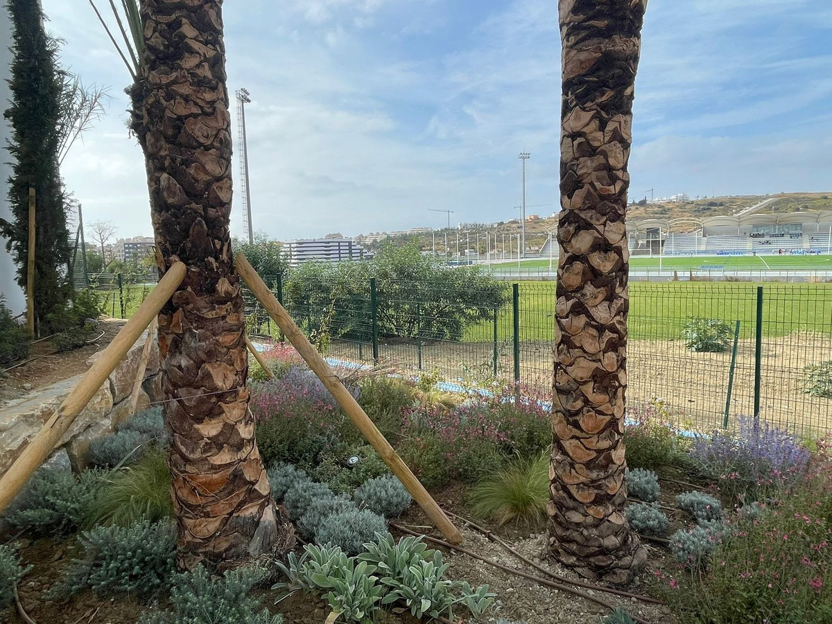 Property main view 26