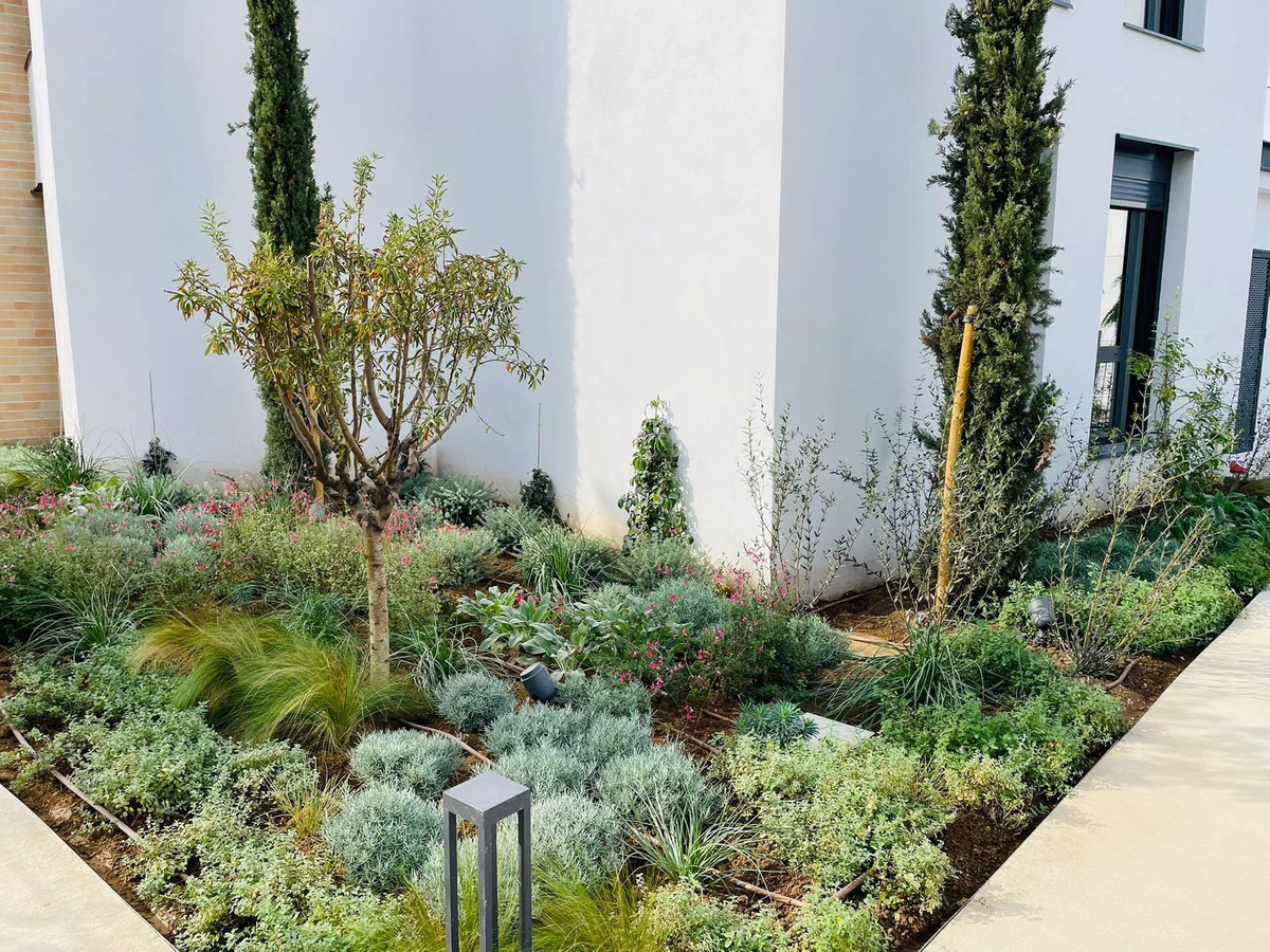 Property main view 30