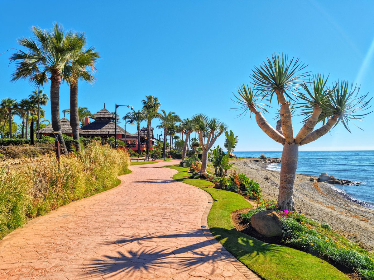 Property main view 61