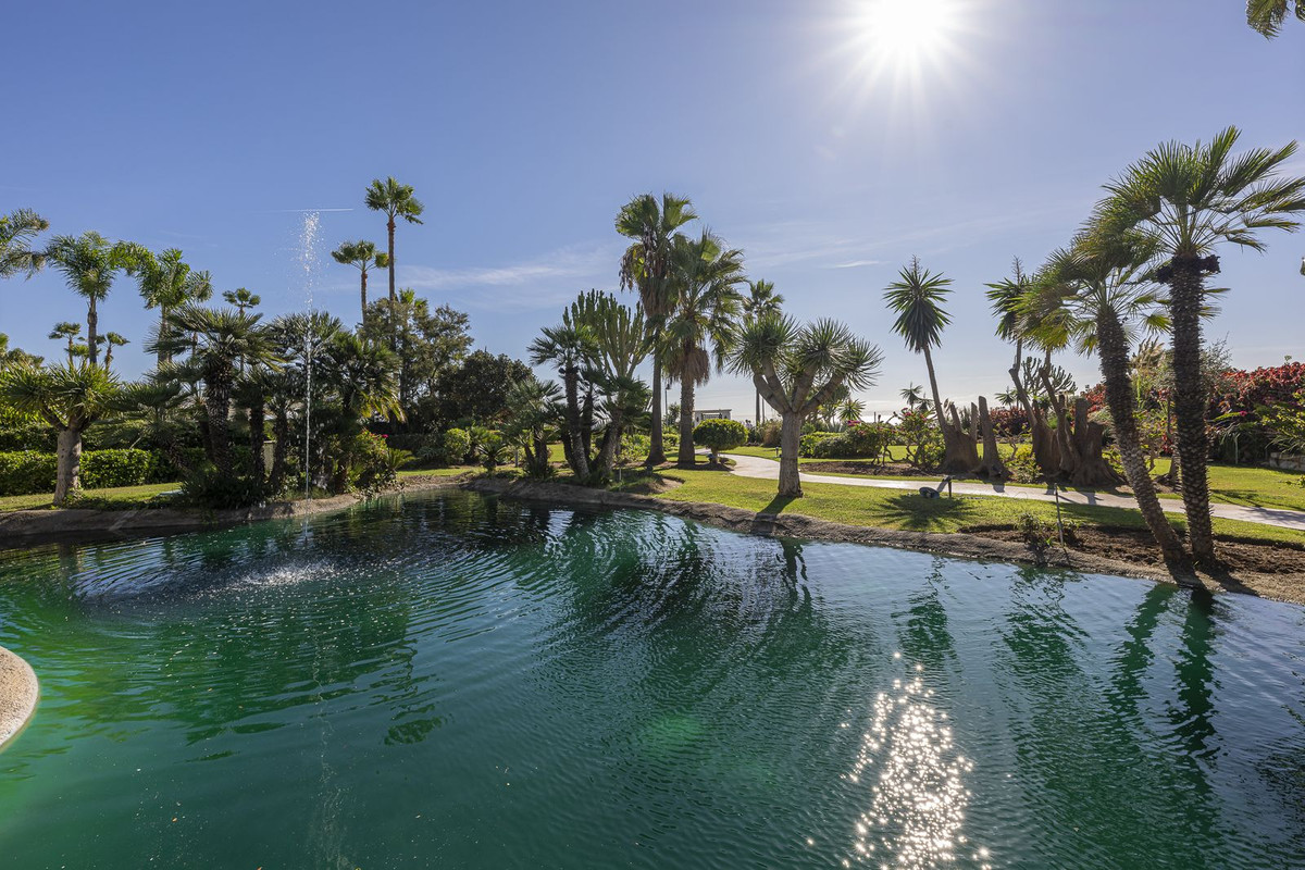 Property main view 30