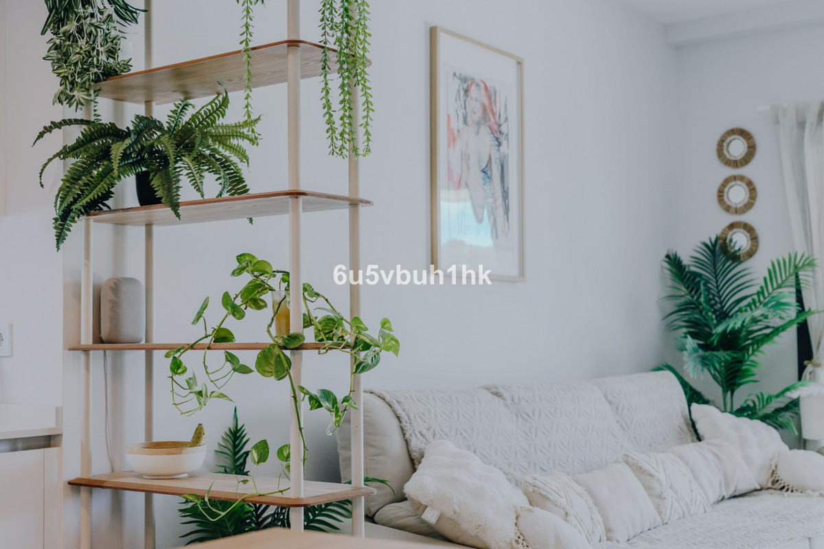 Property main view 12