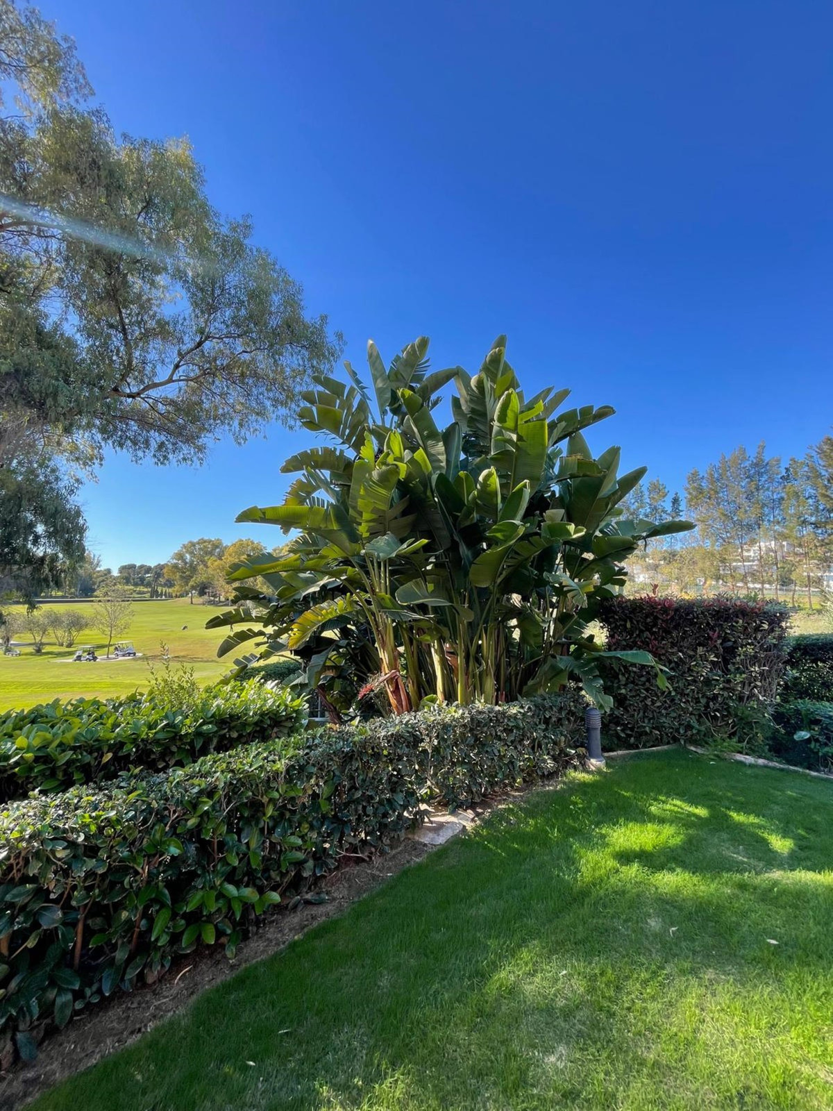 Property main view 25