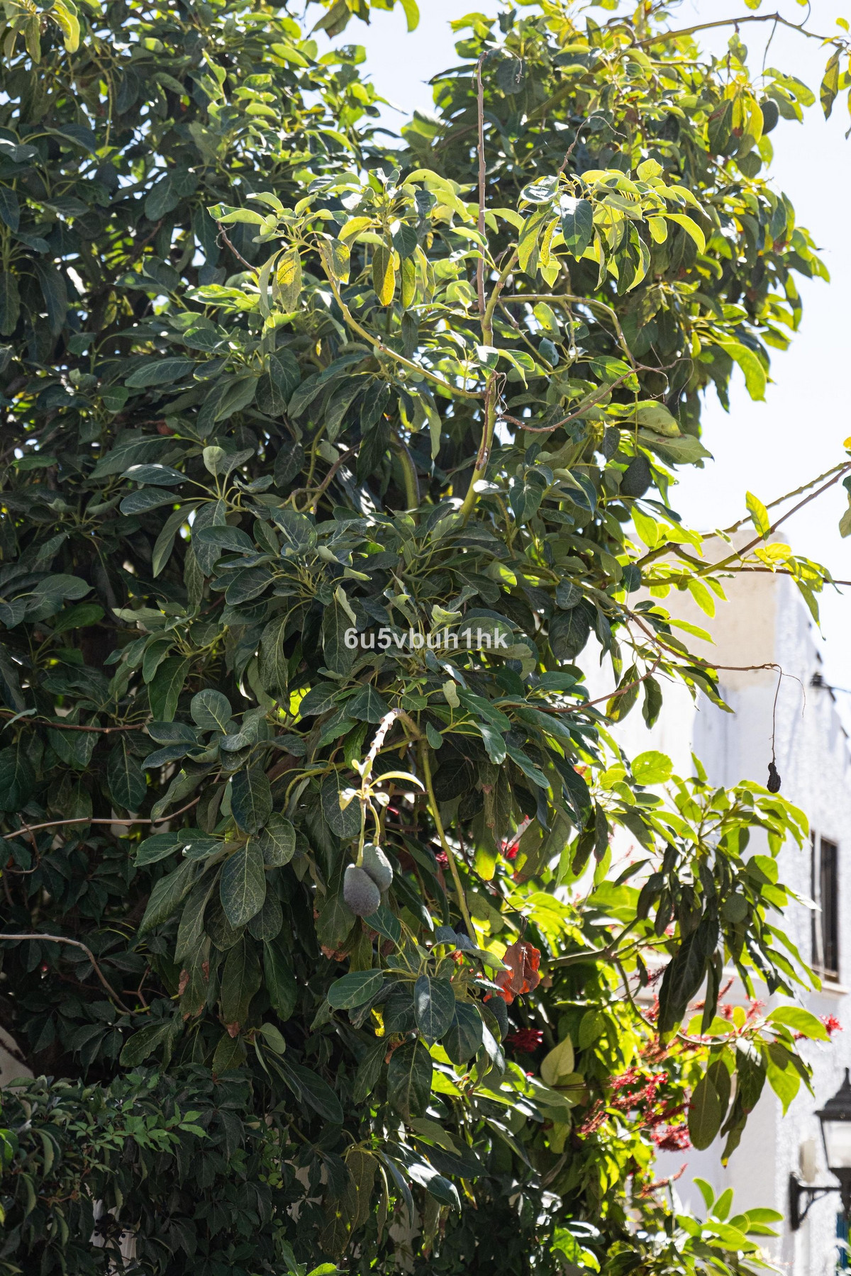 Property main view 26