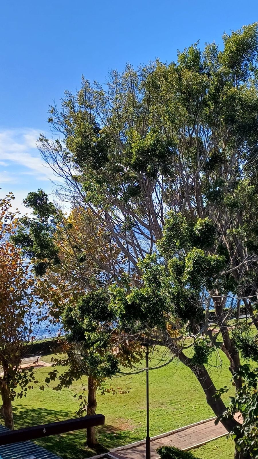 Appartement te koop in Estepona | 1 slaapkamers H5288140