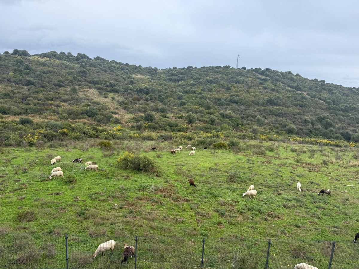 Appartement te koop in Estepona | 3 slaapkamers H5335711