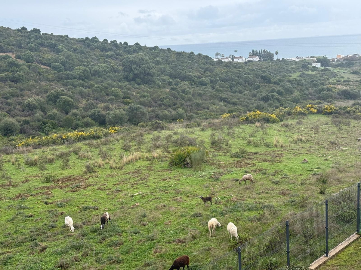 Appartement te koop in Estepona | 3 slaapkamers H5335711