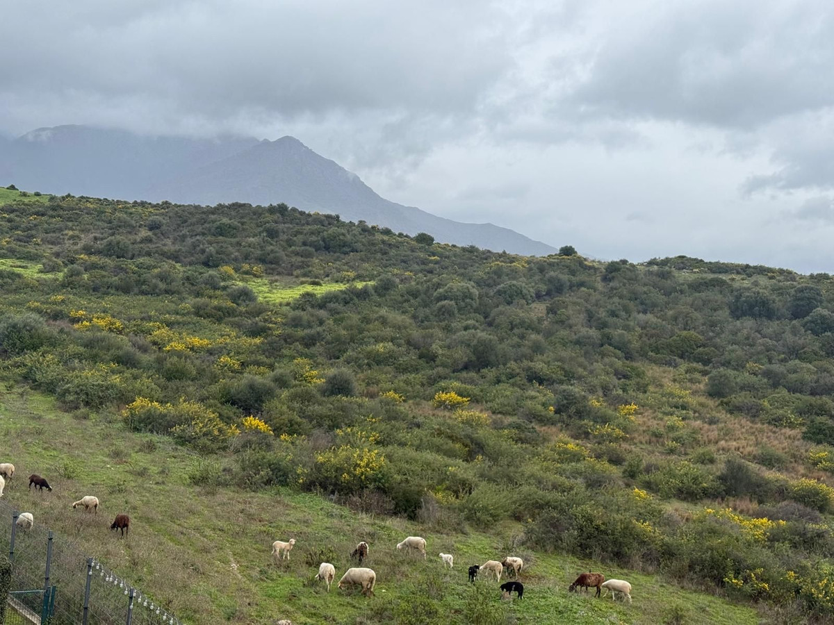 Appartement te koop in Estepona | 3 slaapkamers H5335711