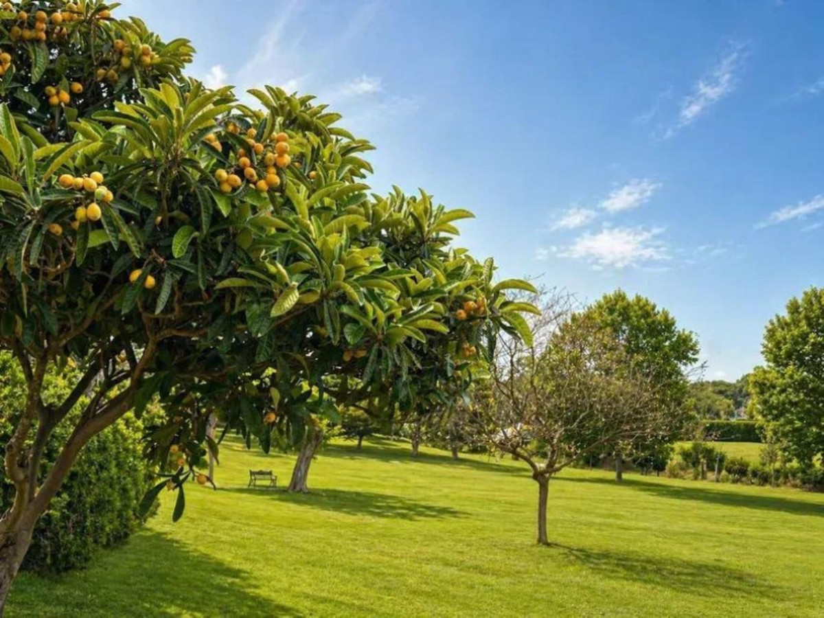 Appartement te koop in Estepona | 2 slaapkamers H5356297