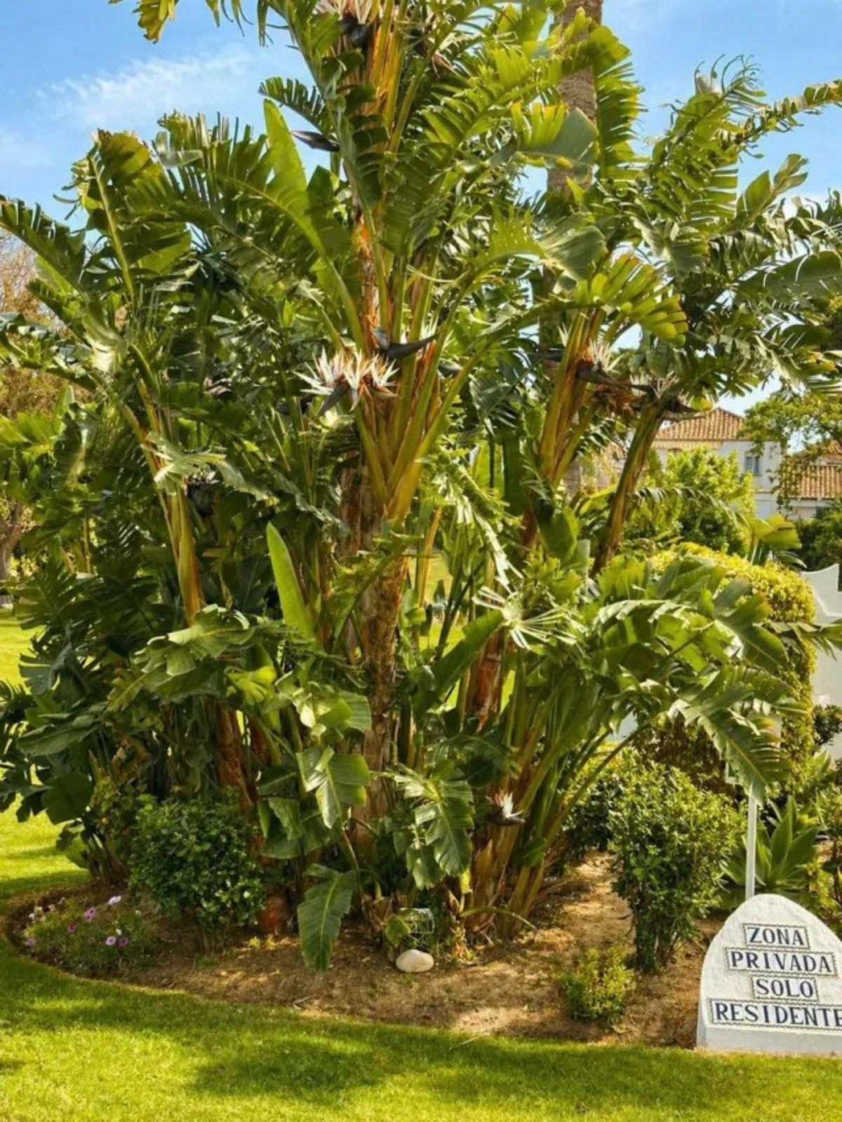 Appartement te koop in Estepona | 2 slaapkamers H5356297