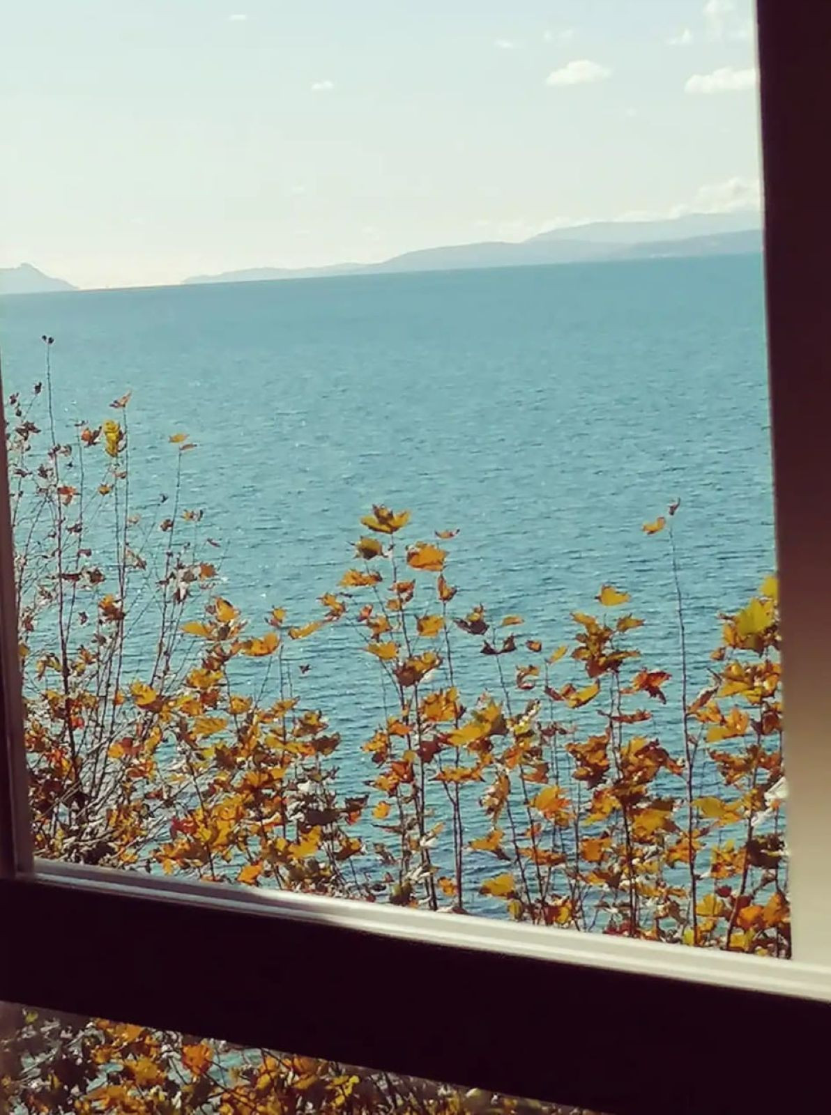 Appartement te koop in Estepona | 0 slaapkamers H5363881