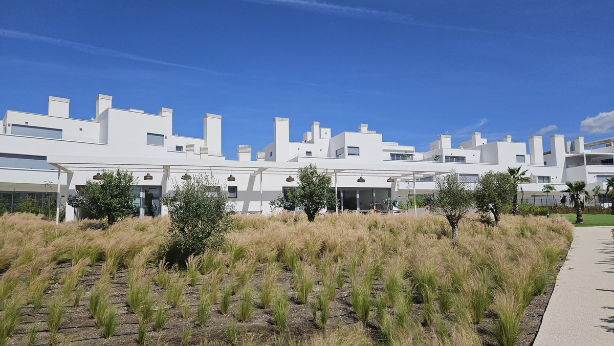 Property main view 62