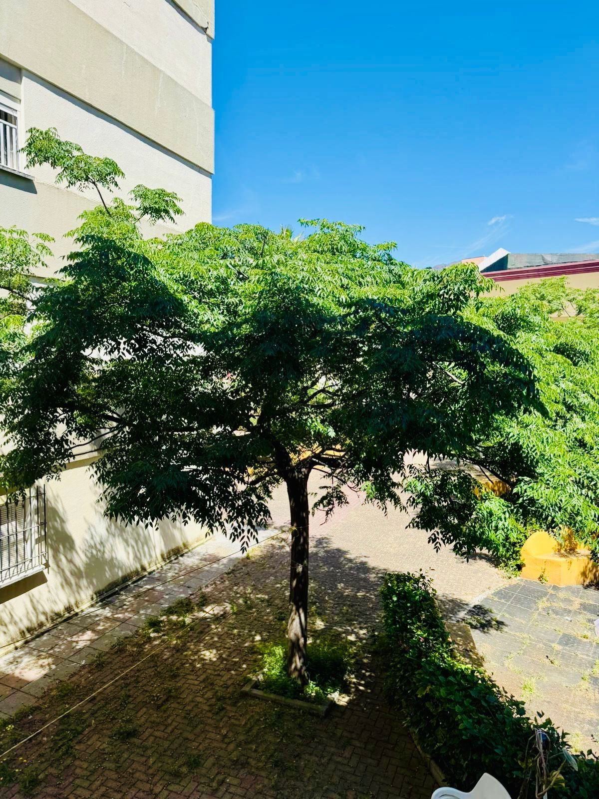 Appartement te koop in Estepona | 3 slaapkamers H5388976