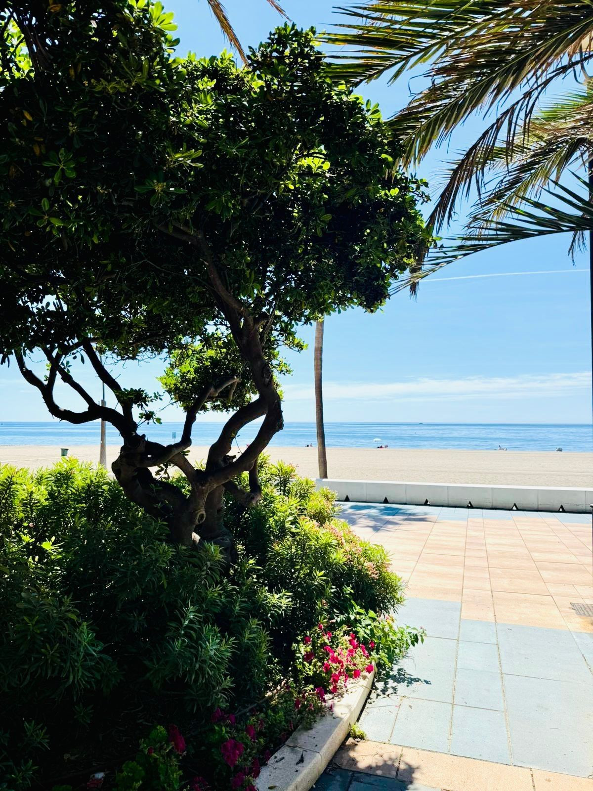 Appartement te koop in Estepona | 3 slaapkamers H5388976