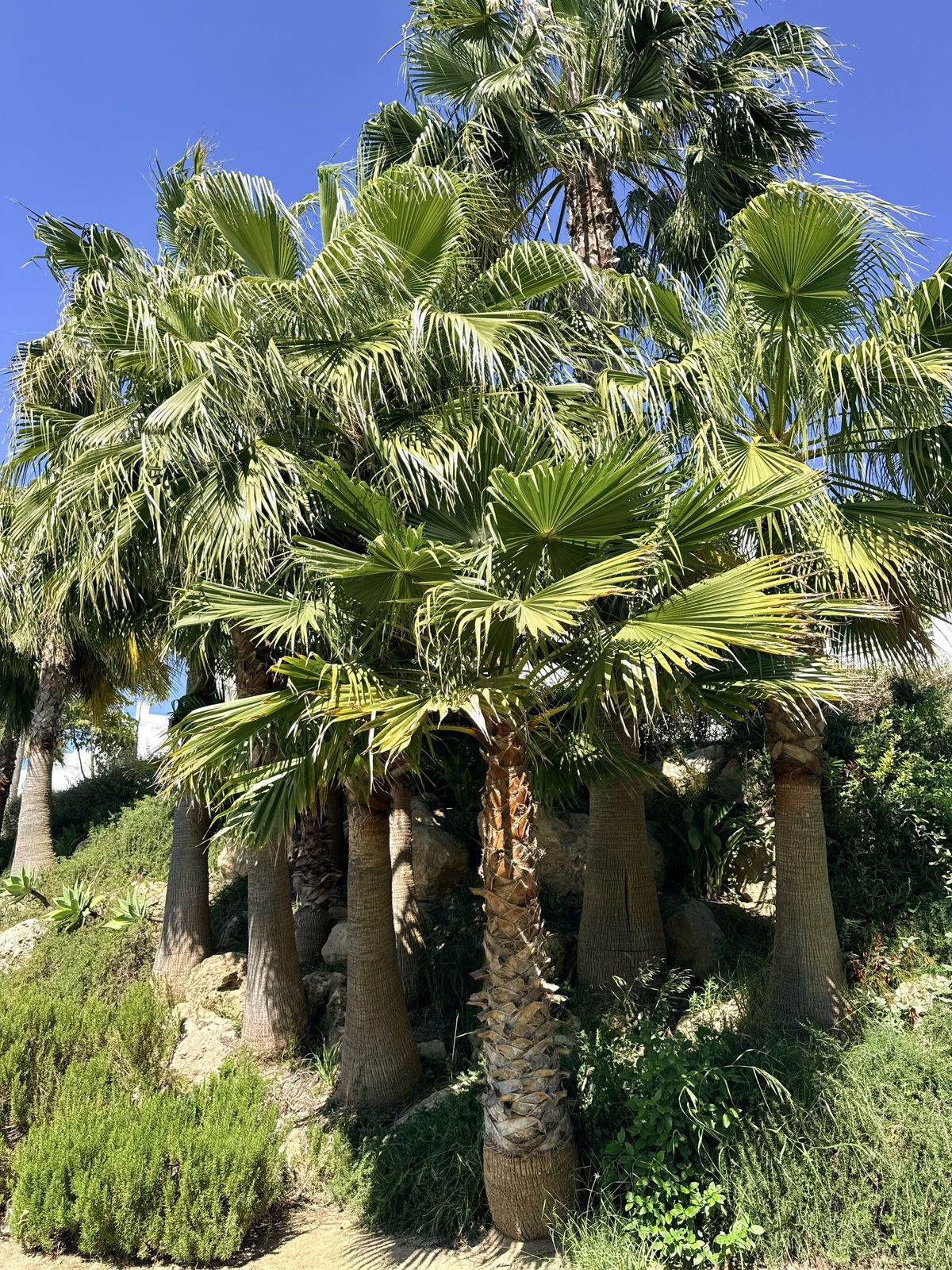 Appartement te koop in Estepona | 2 slaapkamers H5392996