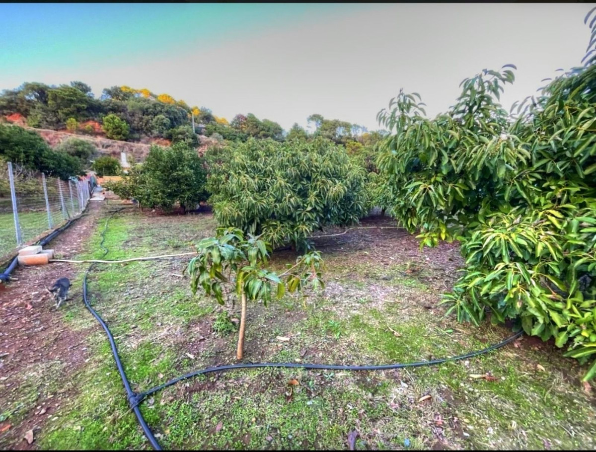 Appartement te koop in Estepona | 4 slaapkamers H5394445