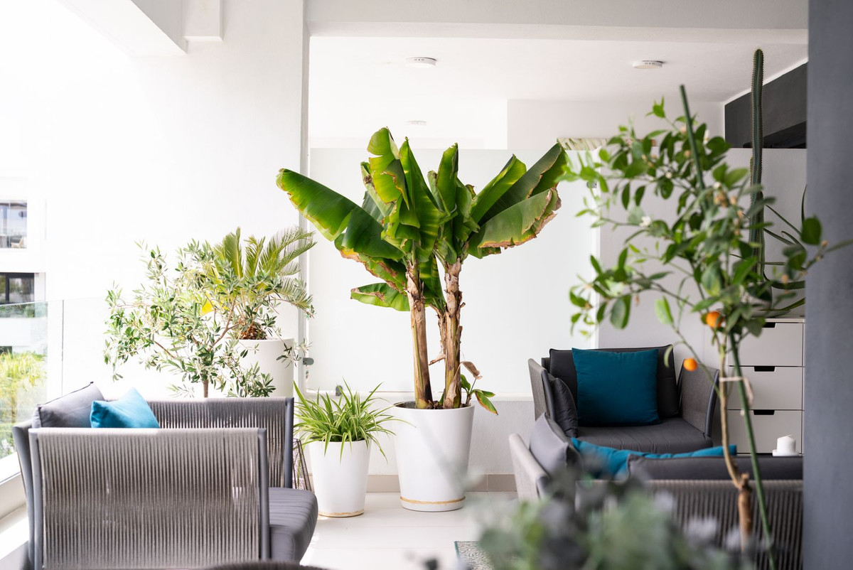 Appartement te koop in Estepona | 2 slaapkamers H5398612