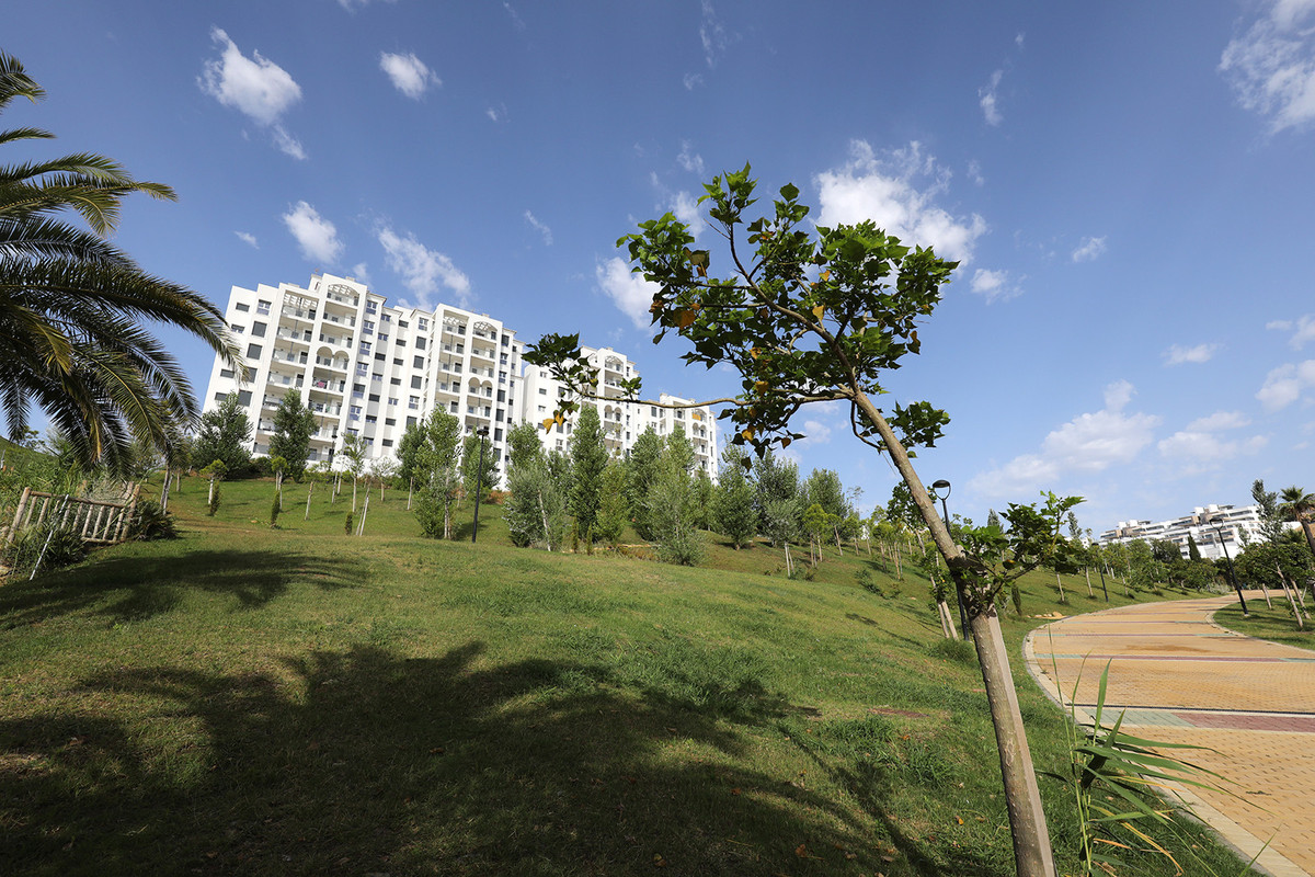 Property main view 52