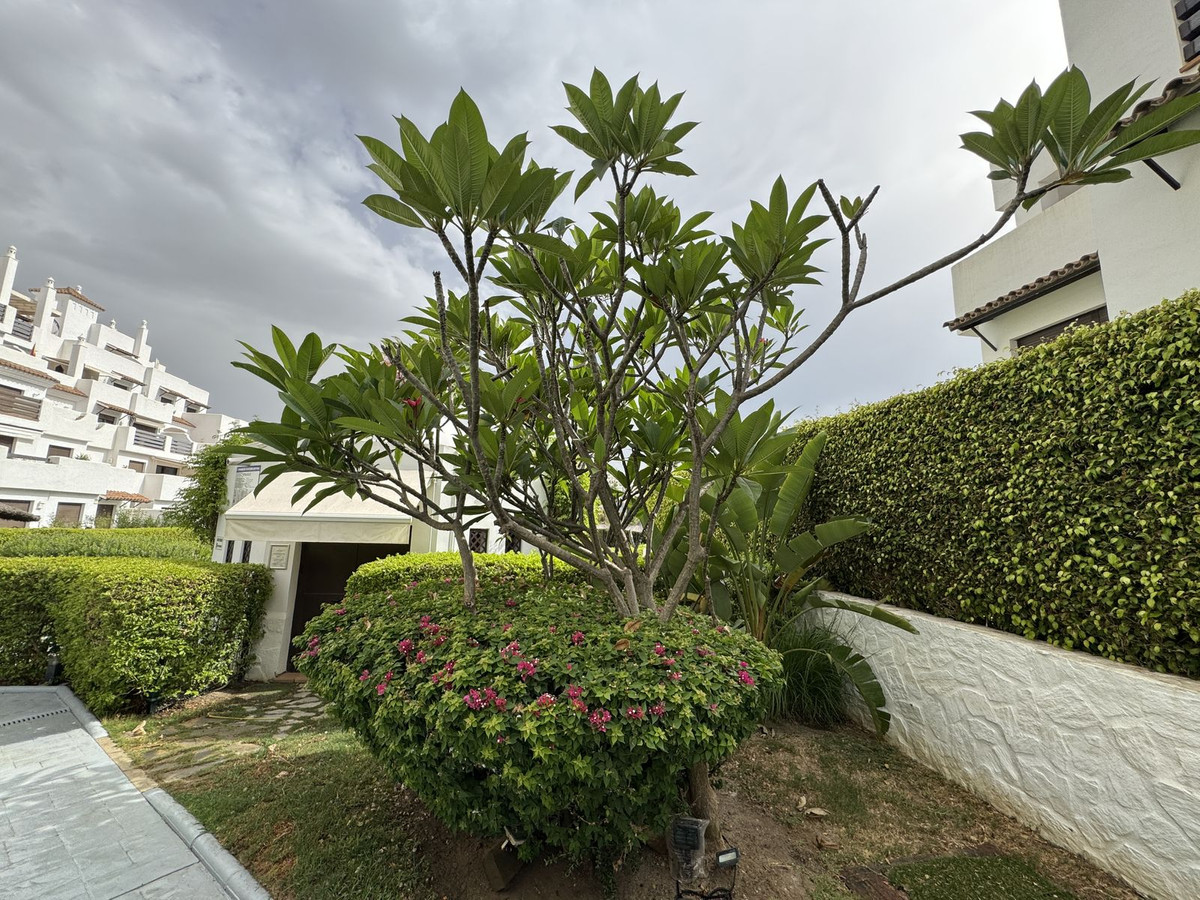 Property main view 23