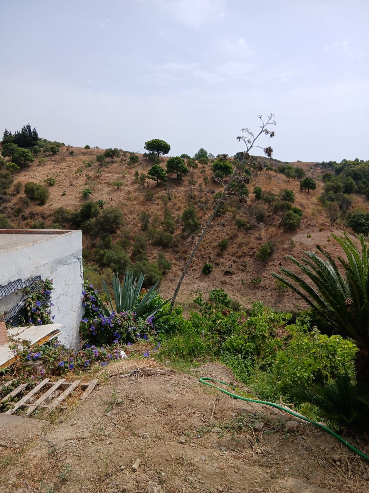 Appartement te koop in Estepona | 3 slaapkamers H5451844