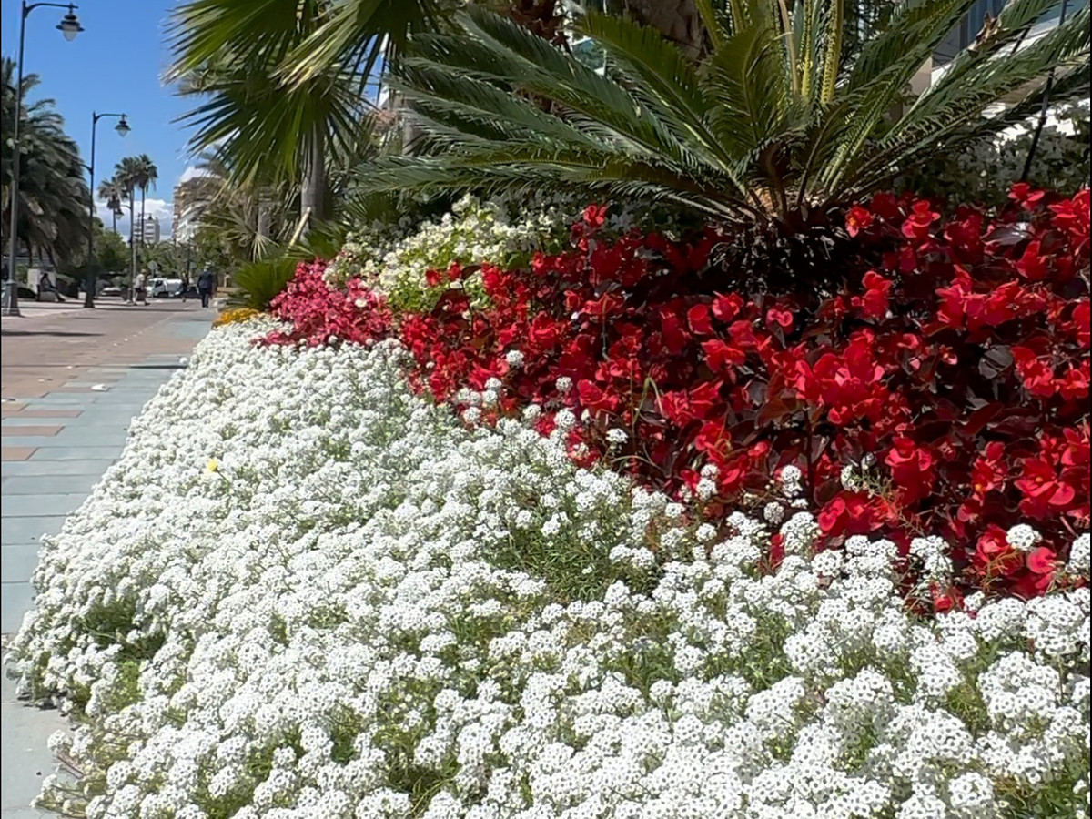 Appartement te koop in Estepona | 3 slaapkamers H5464384