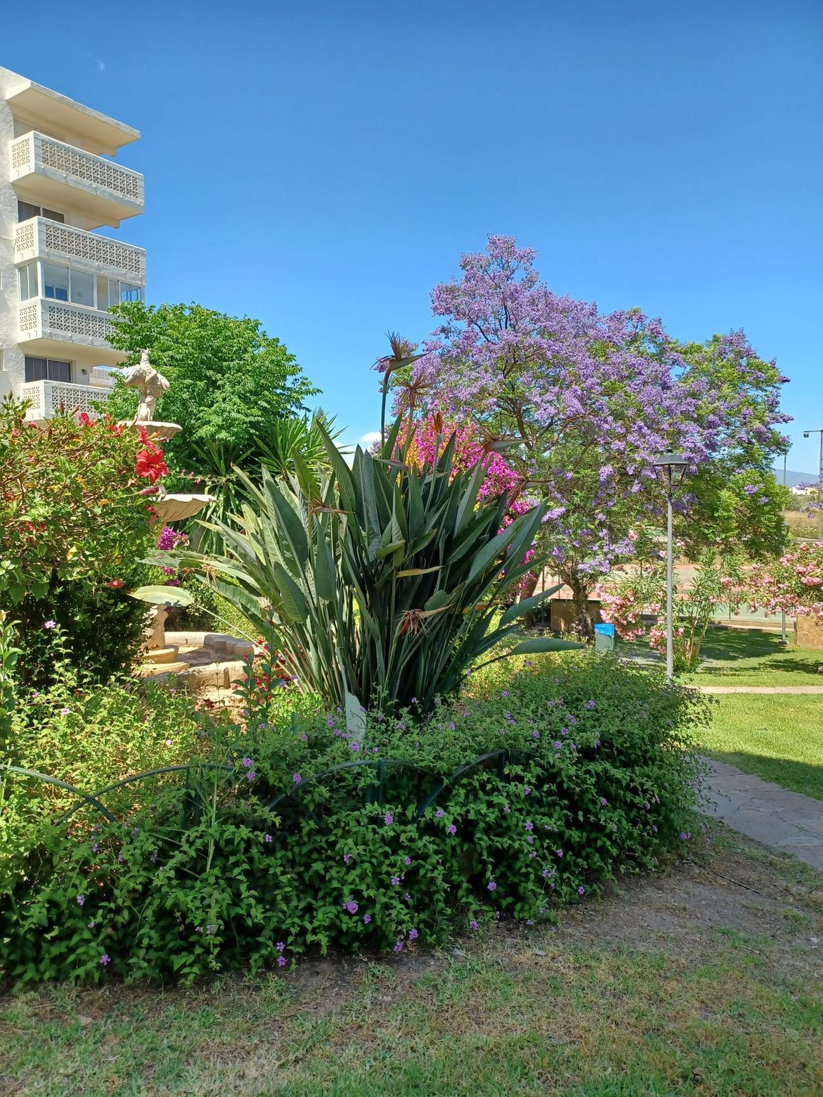 Penthouse te koop in Estepona | 2 slaapkamers H5513455