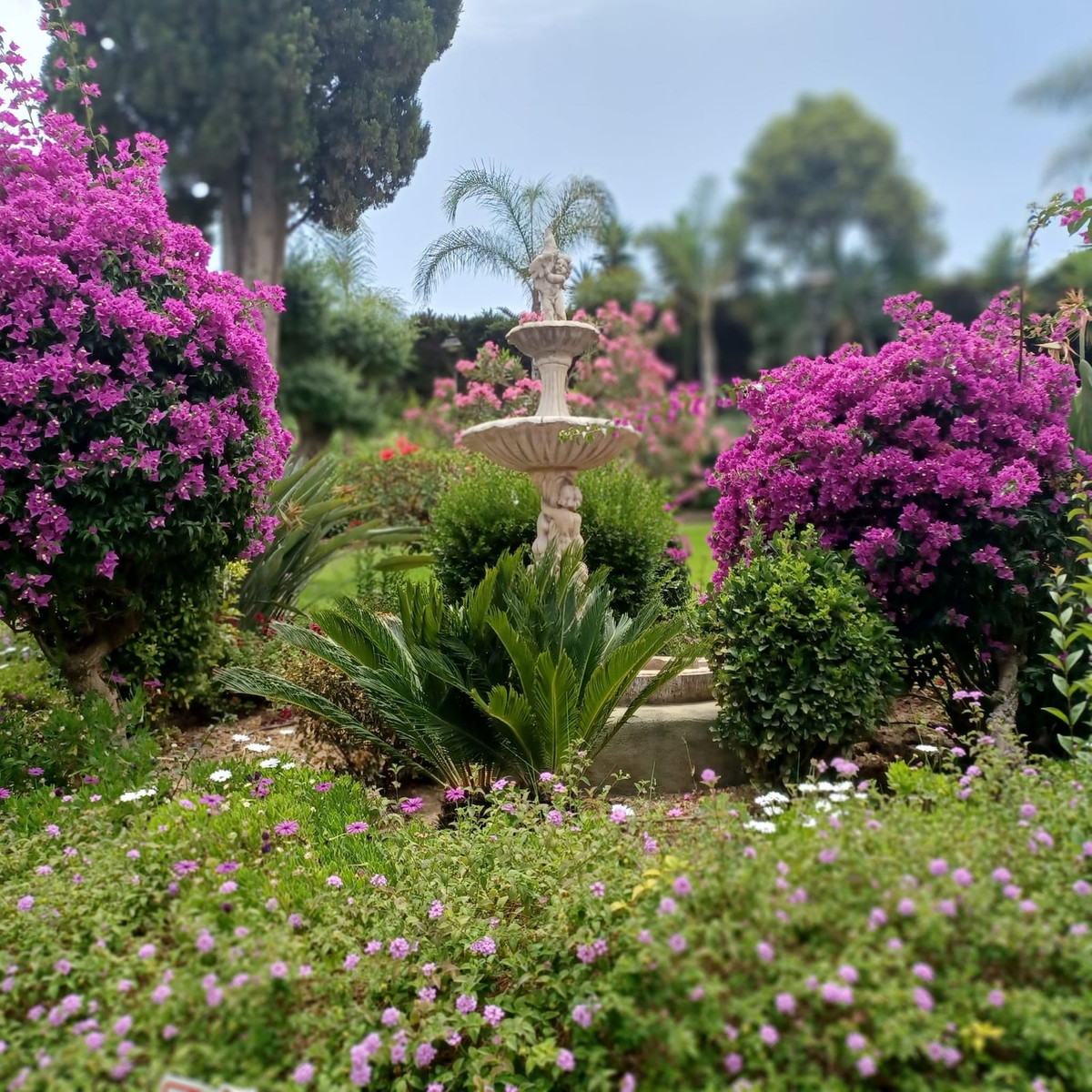 Penthouse te koop in Estepona | 2 slaapkamers H5513455