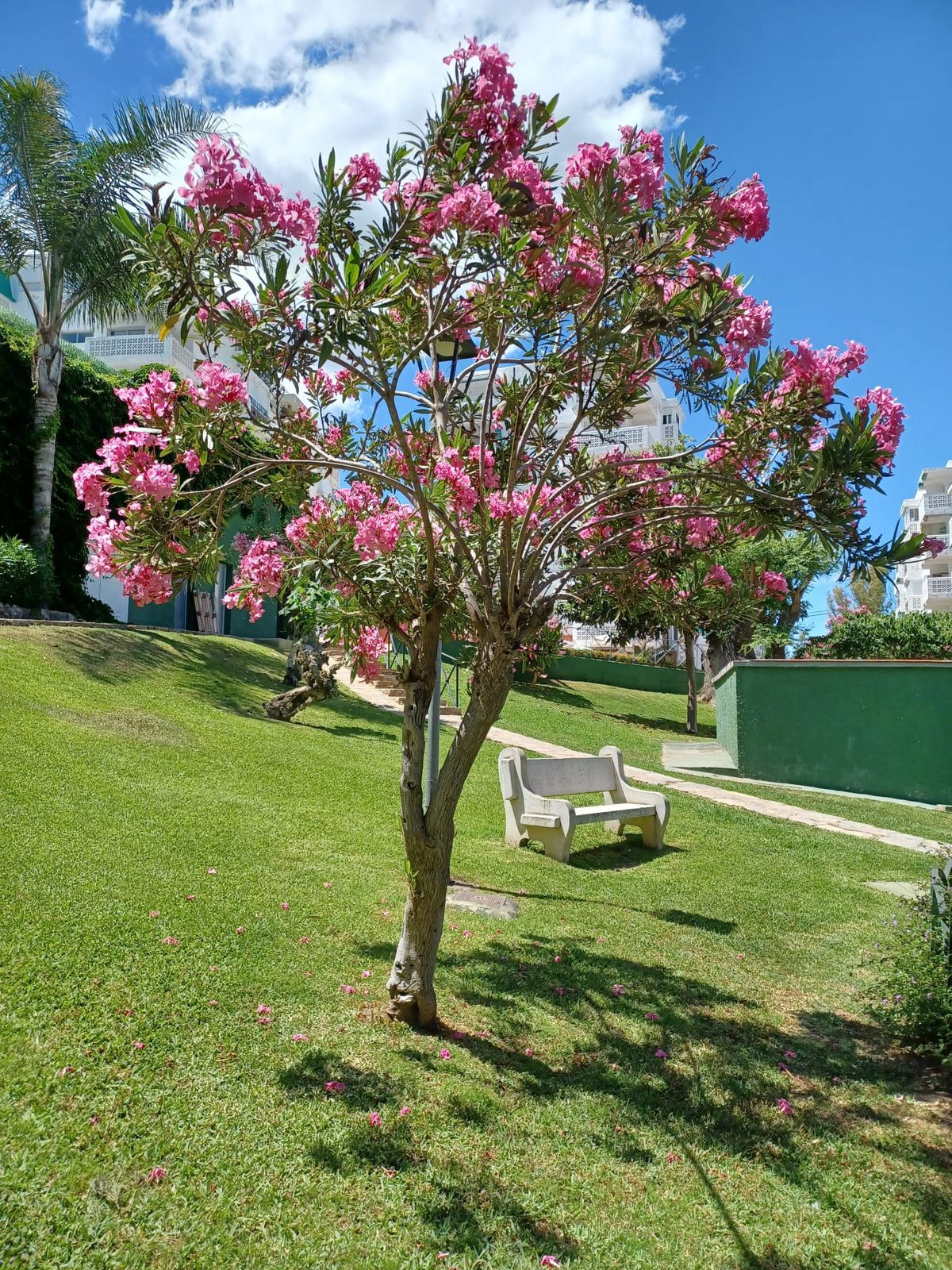 Penthouse te koop in Estepona | 2 slaapkamers H5513455