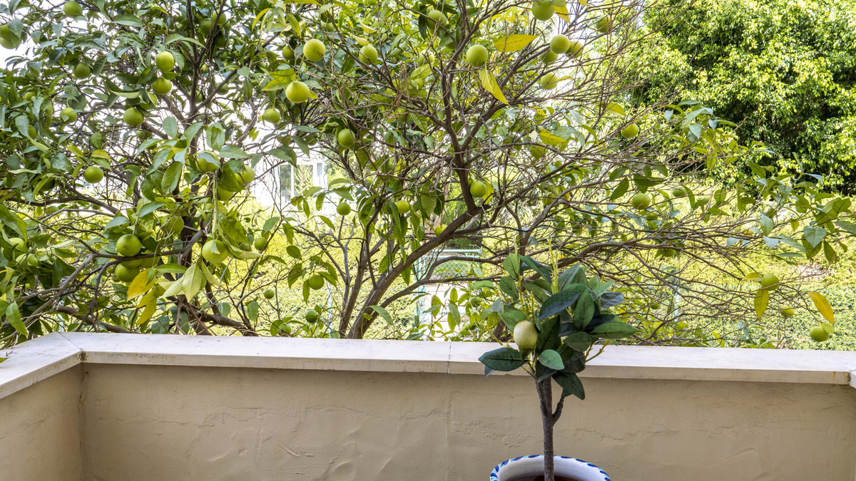 Appartement te koop in Estepona | 2 slaapkamers H5516470
