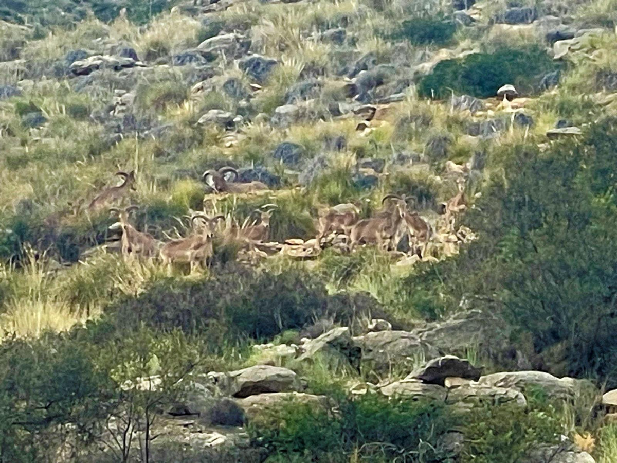 Property main view 13