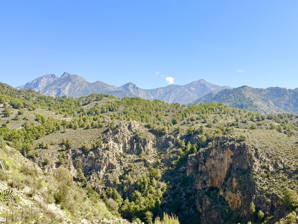 Property main view 39