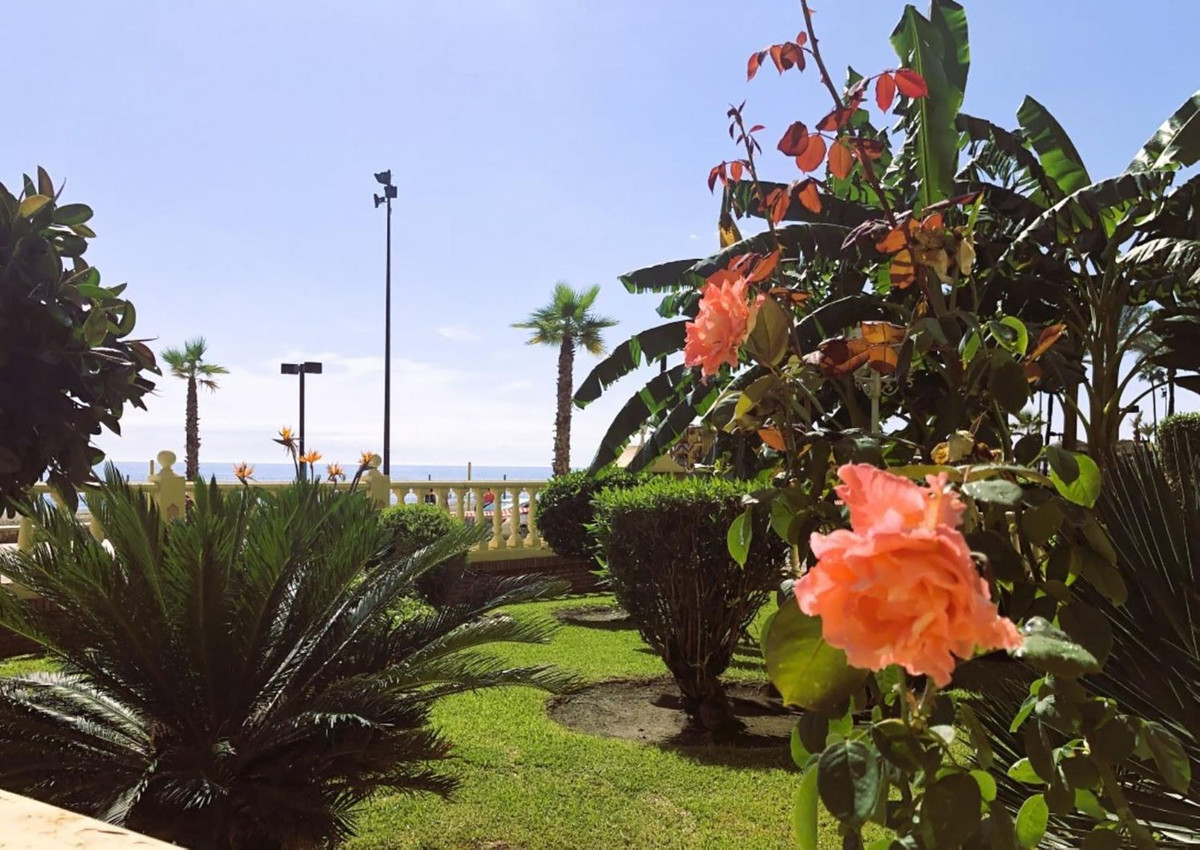 Property main view 29