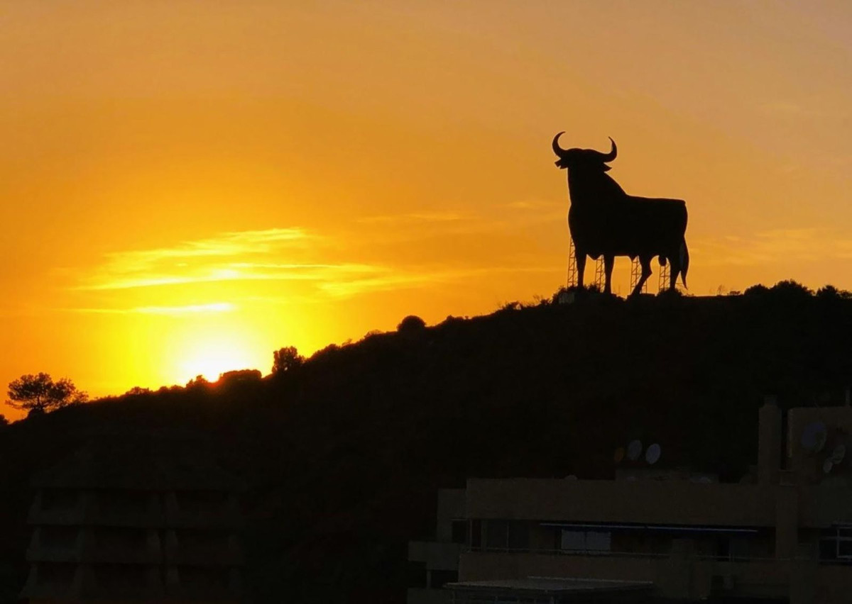 Property main view 32