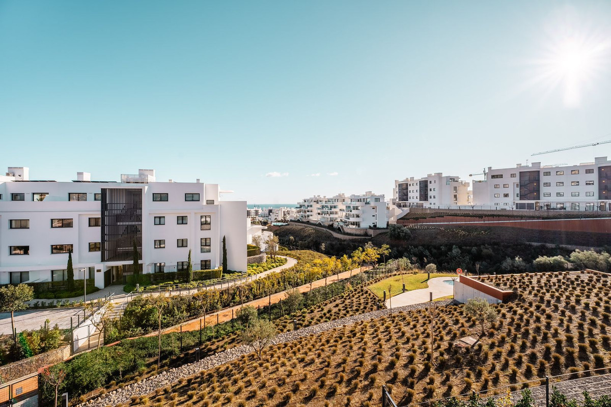 Property main view 20