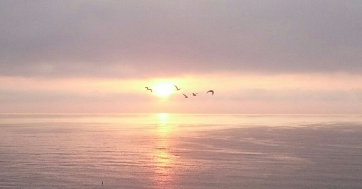 Property main view 48