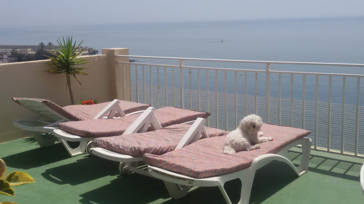 Property main view 52