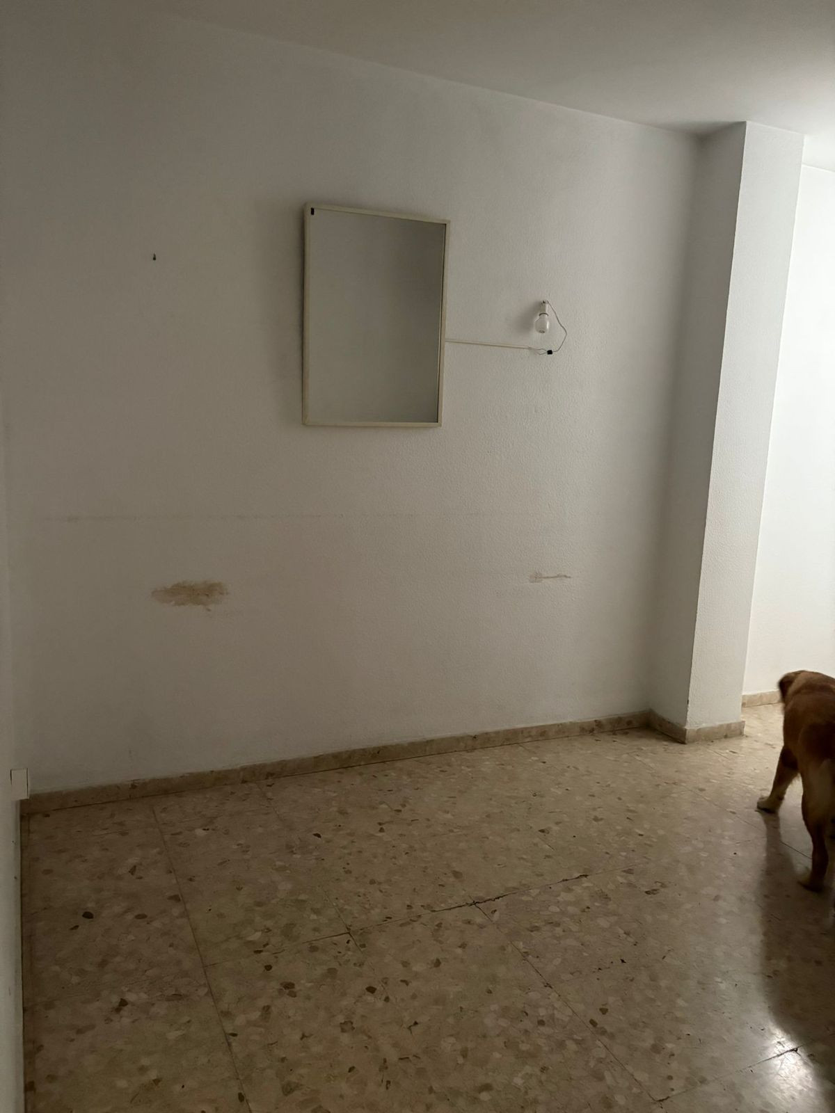 Property main view 5